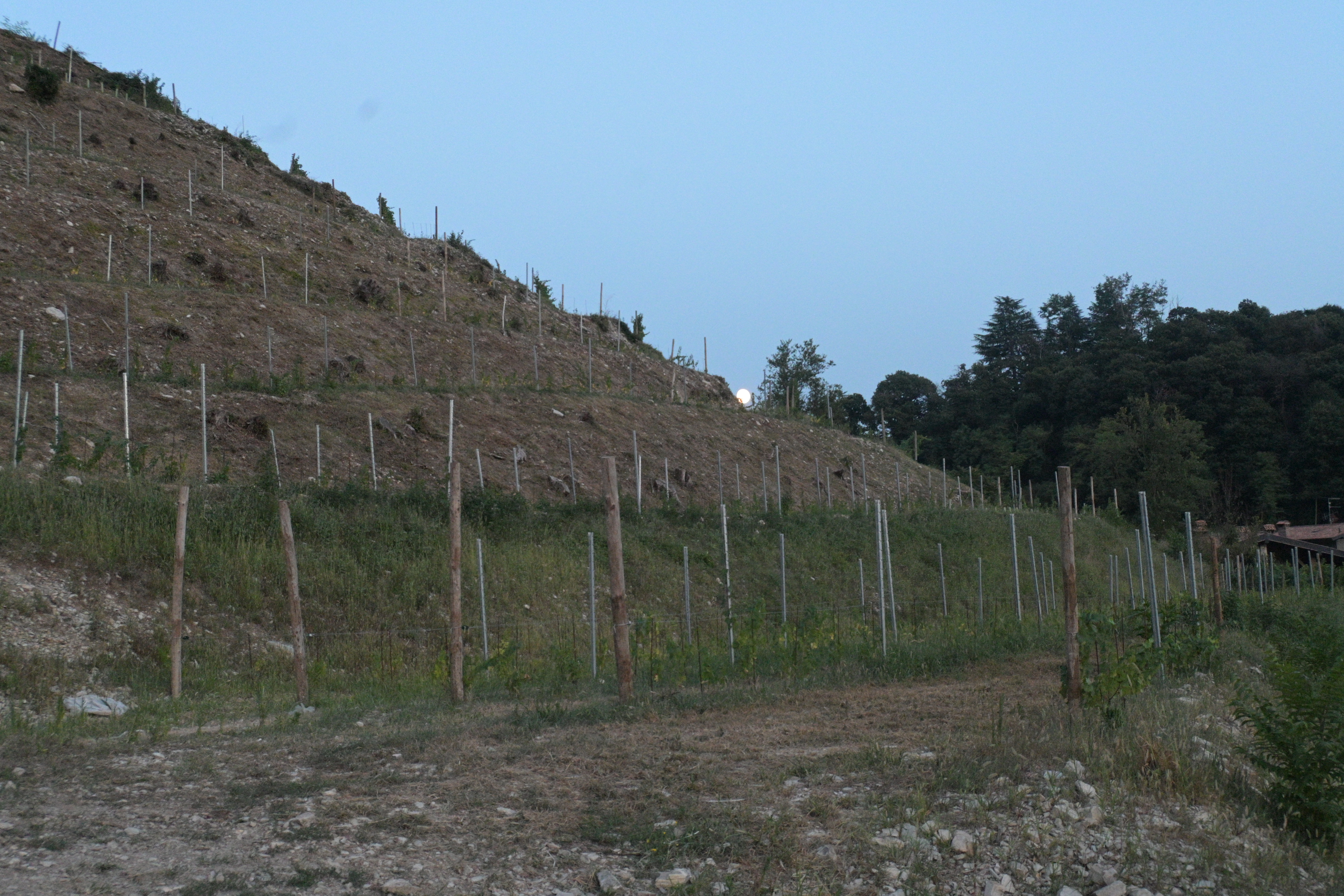 Luce sul territorio Albarec