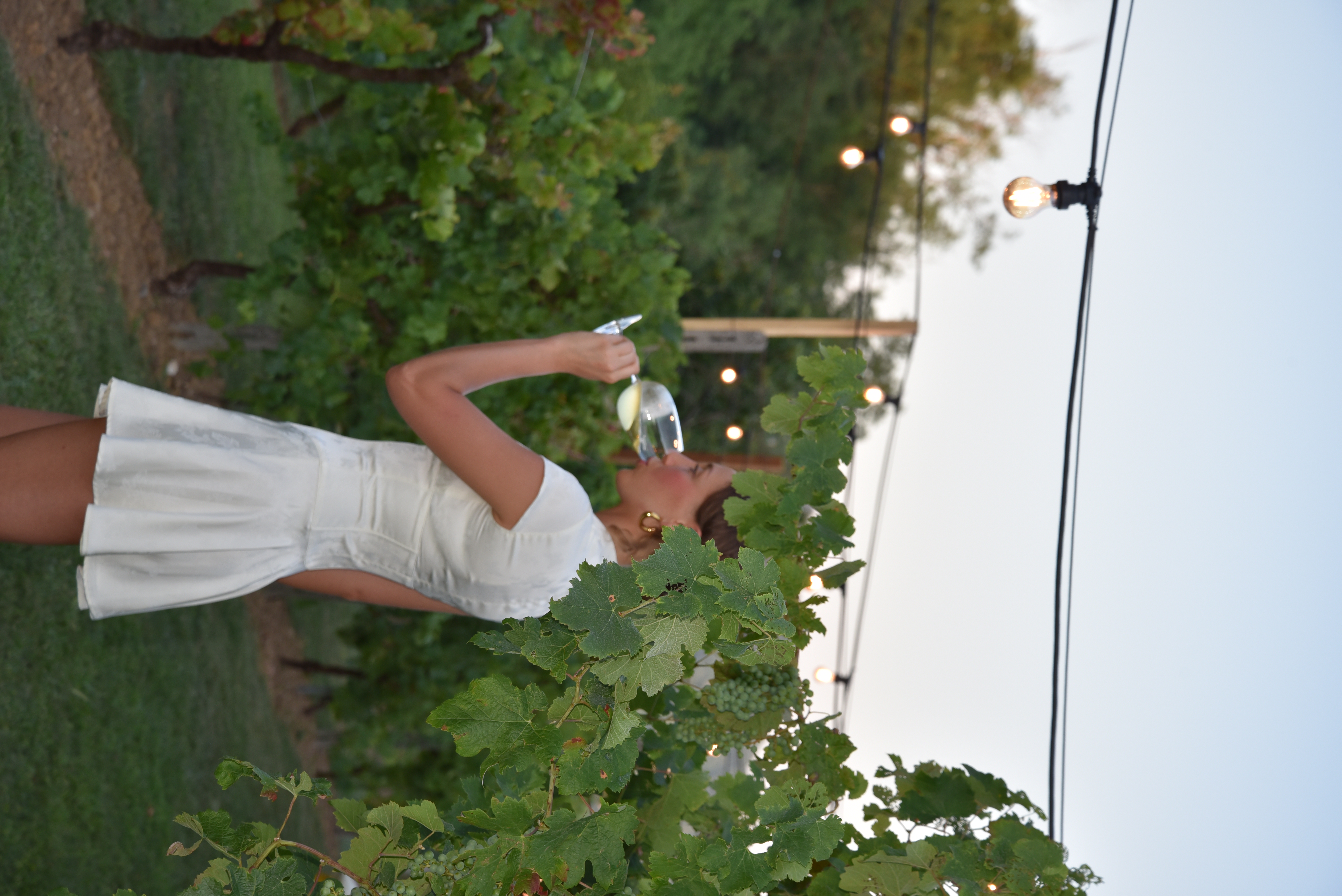 Calice Albarec tra le luci e la vigna