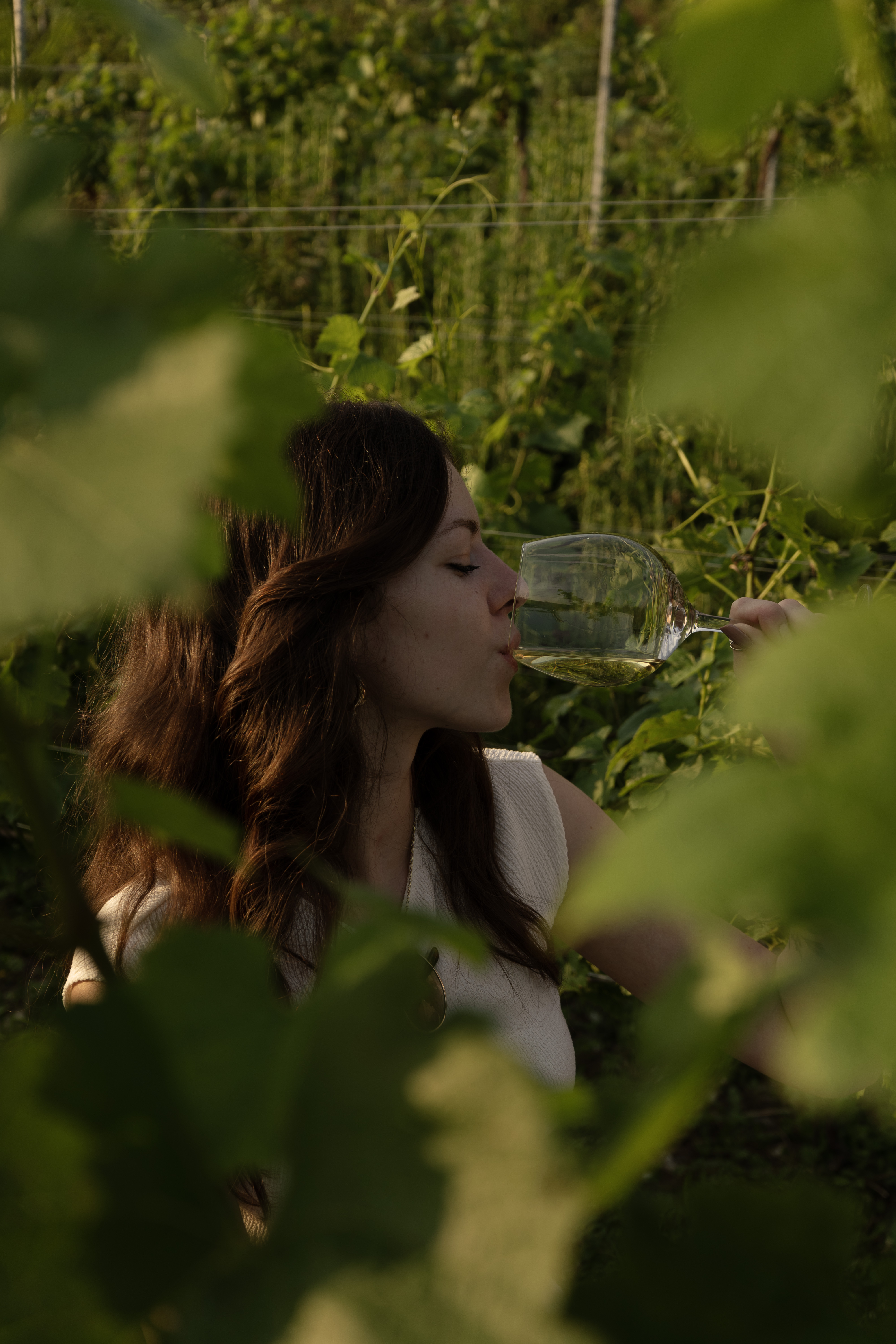 Calice Albarec durante una degustazione in vigna