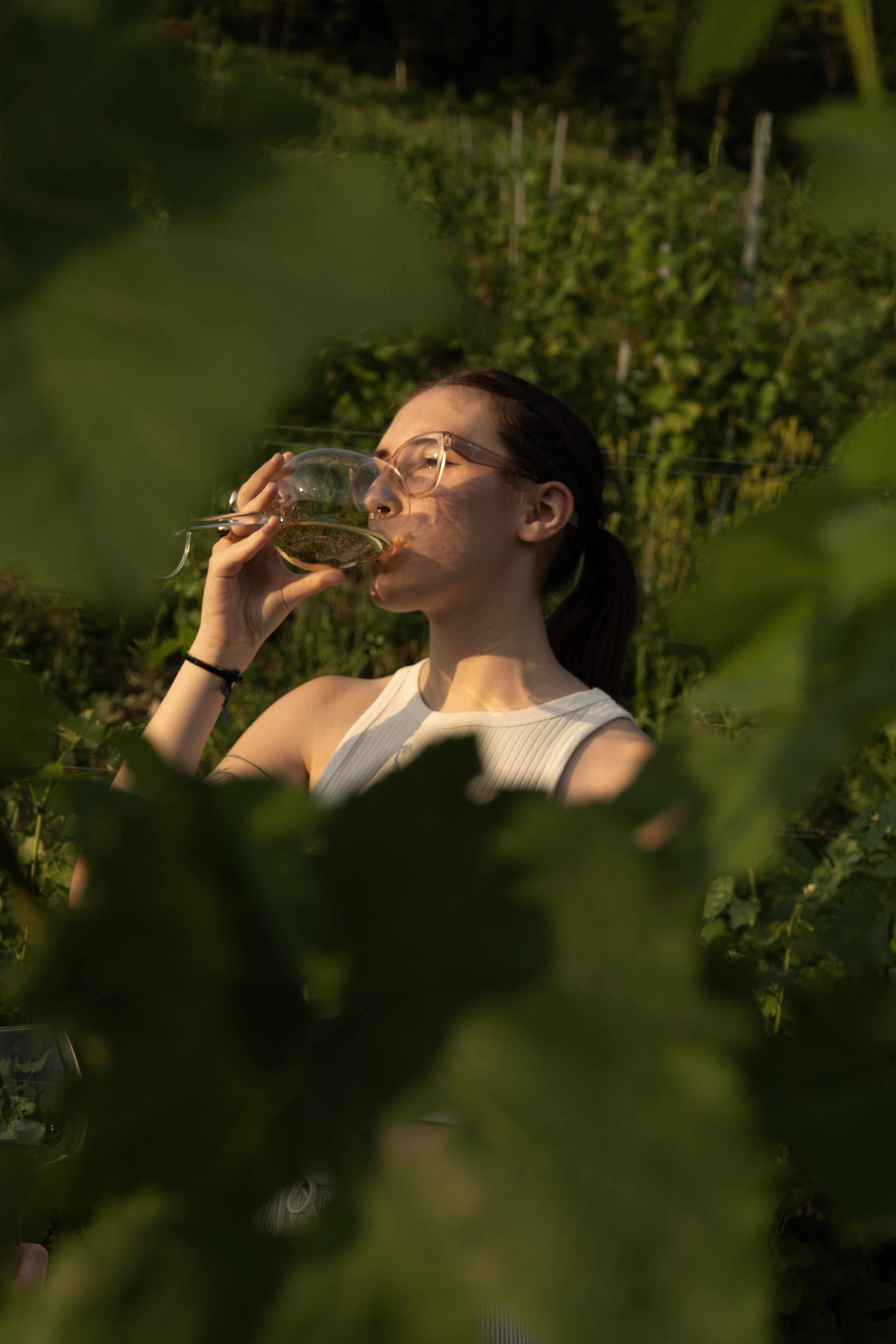 Degustazione Albarec al tramonto nel vigneto